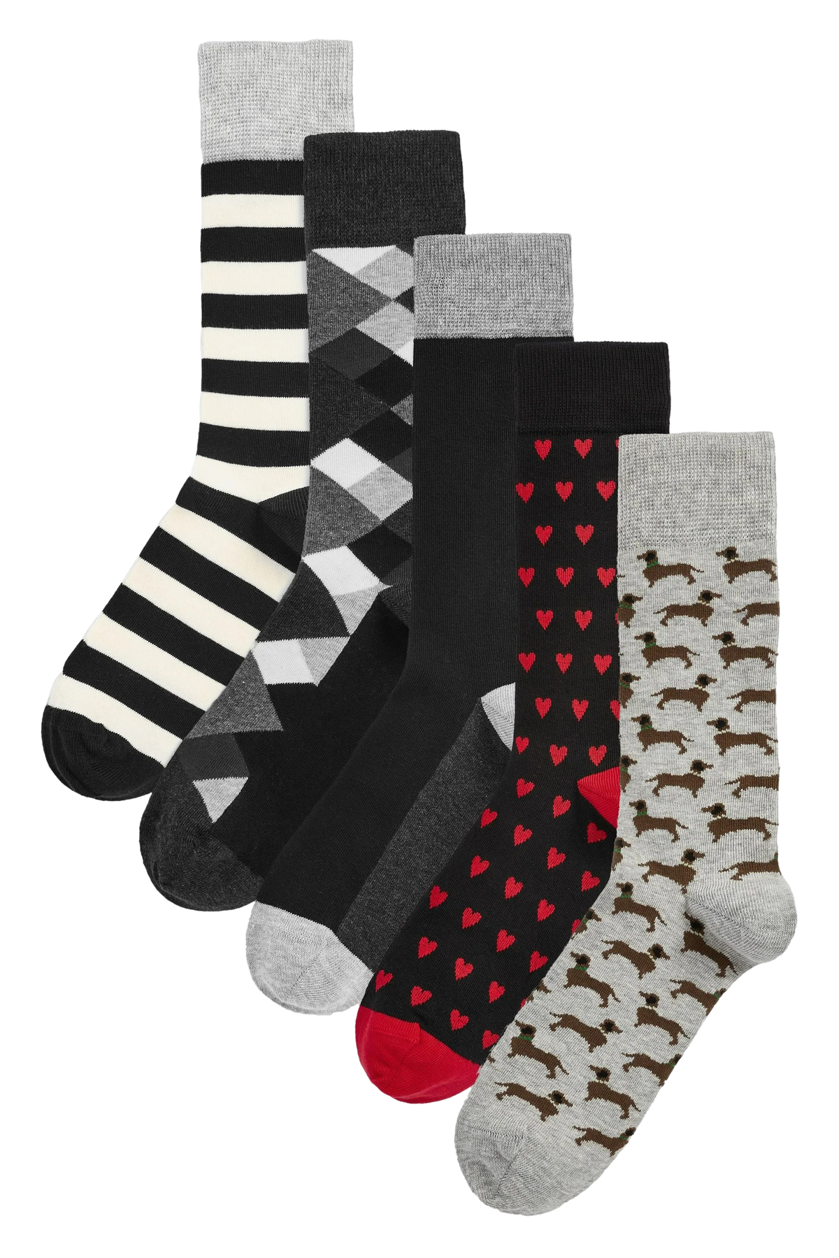 HS by Happy Socks 5 Pack Dachshund Dog  Argyle and Stripe Designs 